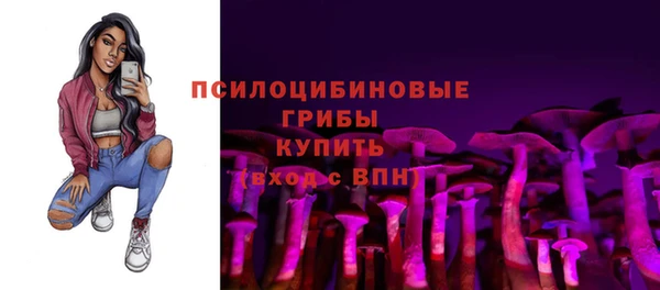 стафф Армянск