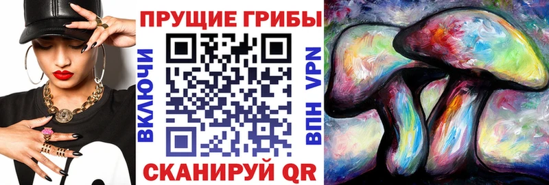 Псилоцибиновые грибы MAGIC MUSHROOMS  купить   МЕГА ССЫЛКА  Горячий Ключ 